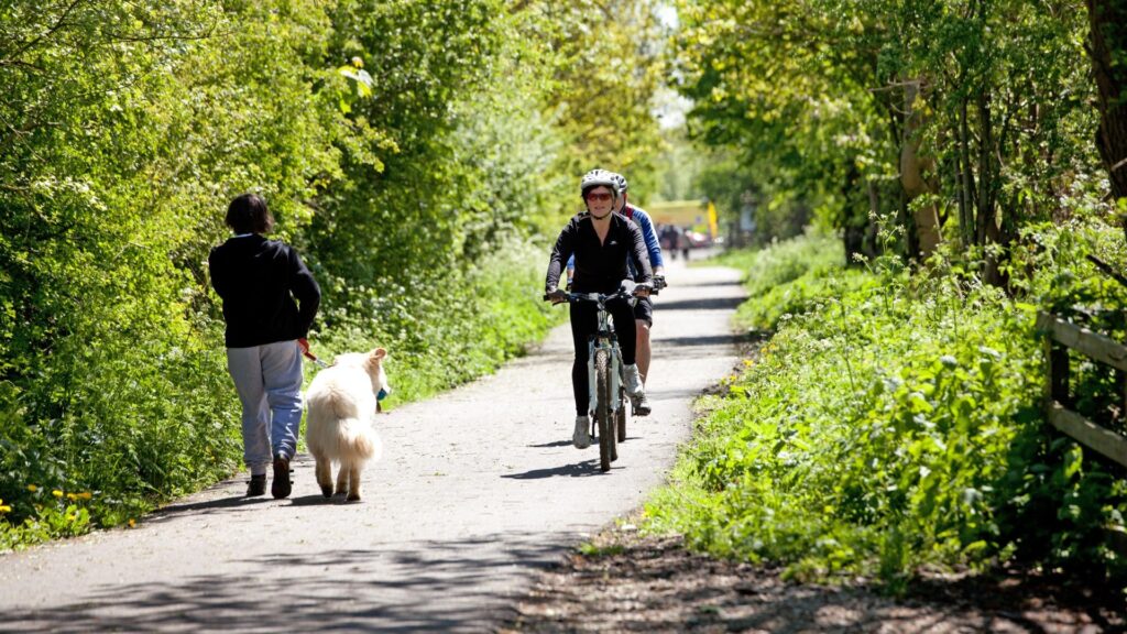 people walking and cycling along a greenway
